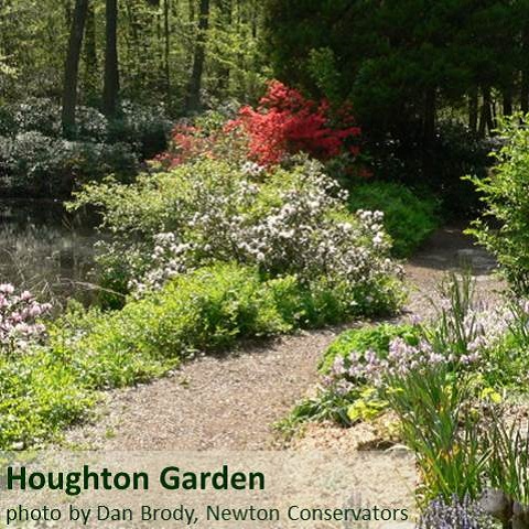 Houghton Garden