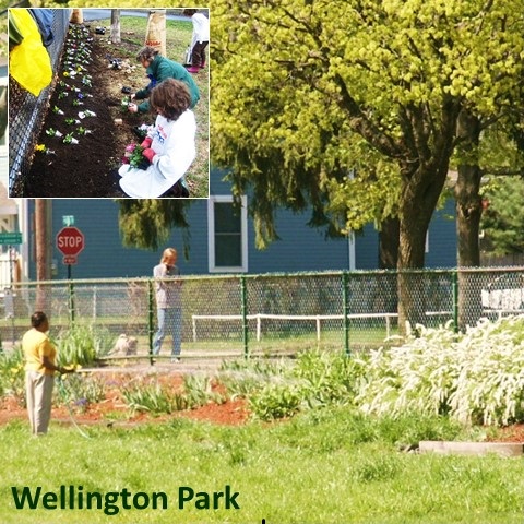 Wellington Park