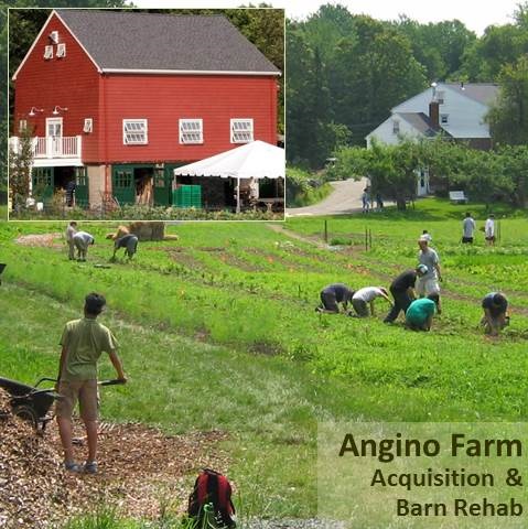 Angino Farm