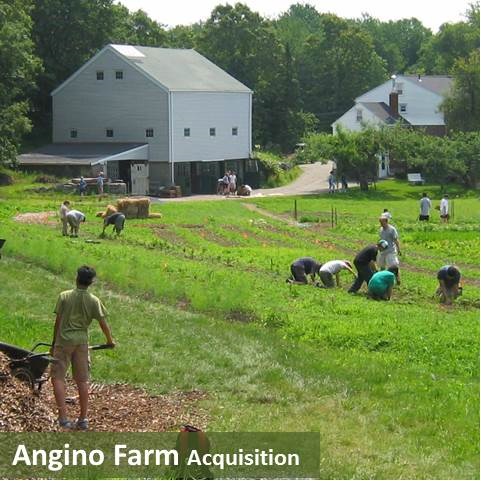 Angino Farm Acquisition