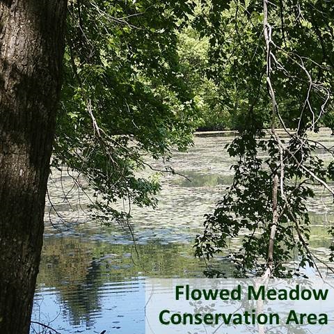 Flowed Meadow Conservation Area