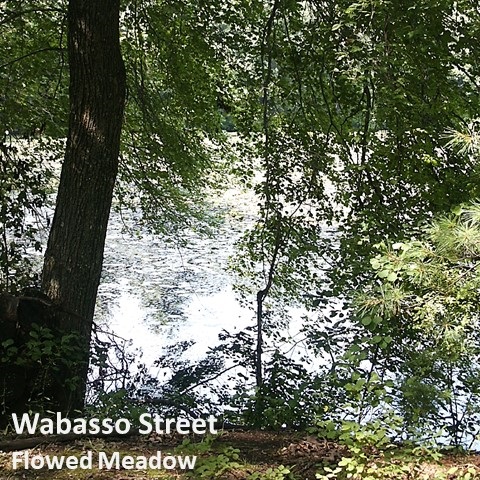 Wabasso Street Flowed Meadow