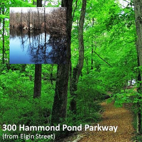 300 Hammond Pond Parkway