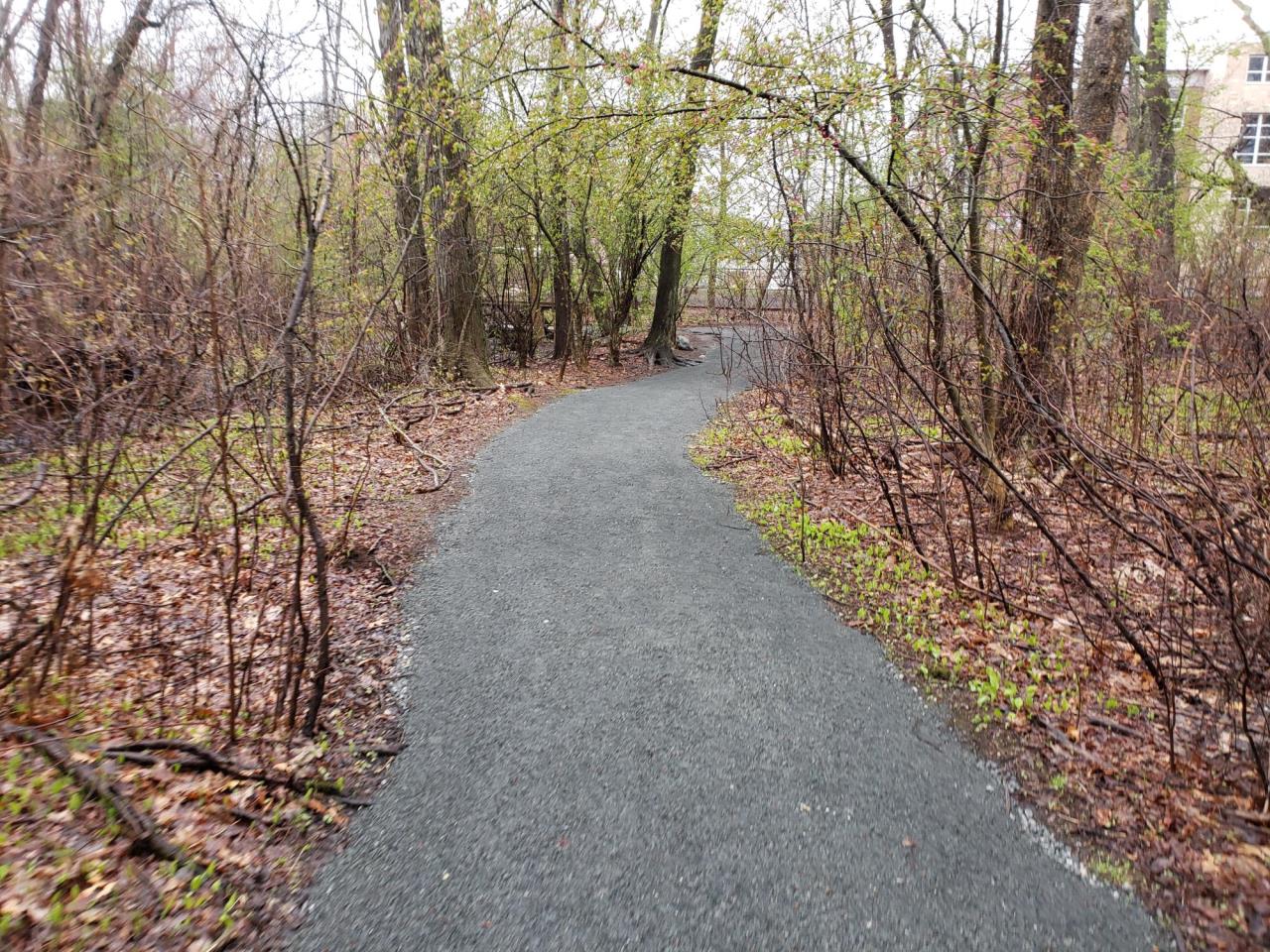 Cold Spring Park Trail