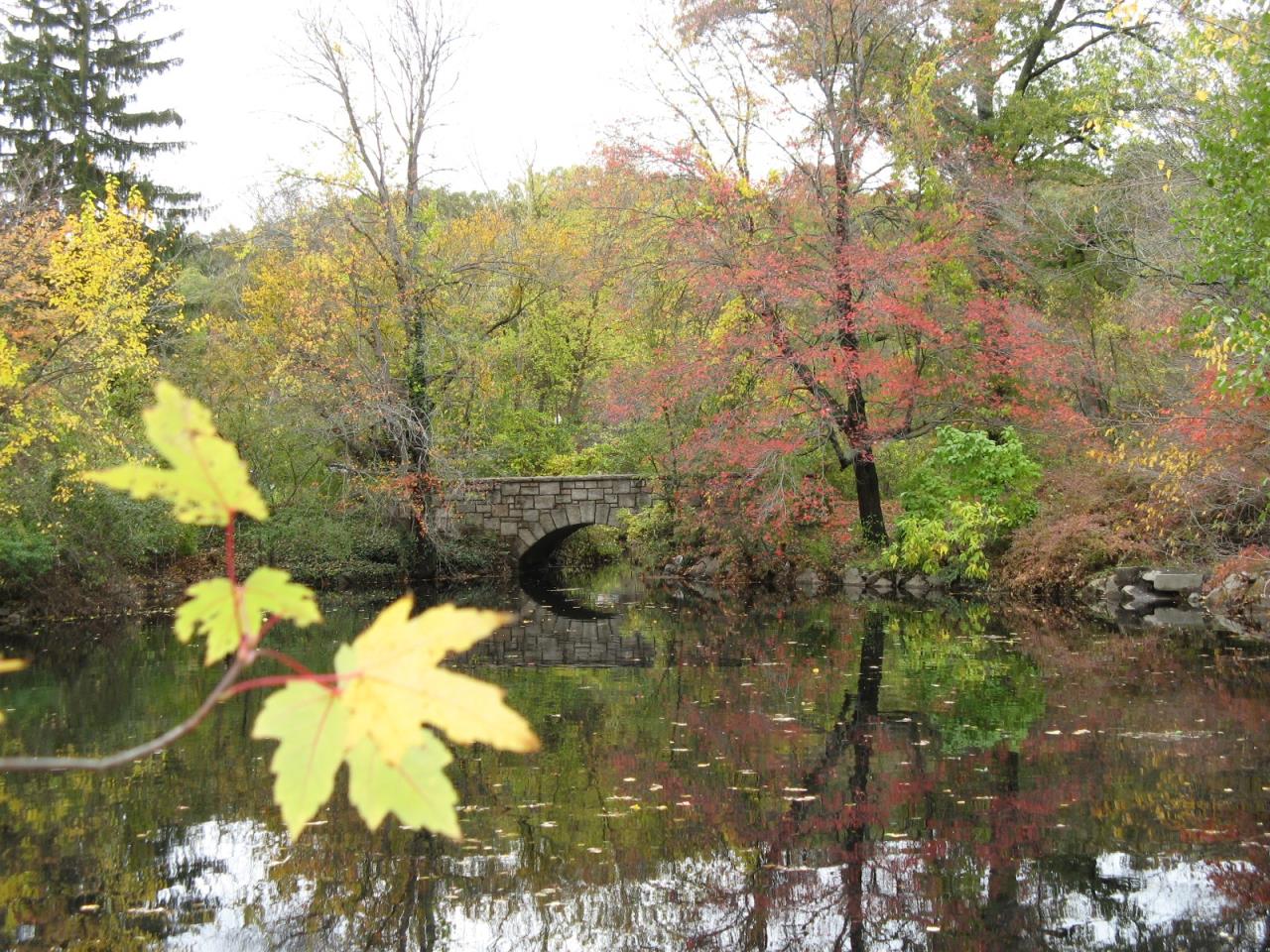 middle pond IV oct 24