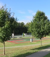 Parks, Playgrounds and Trees