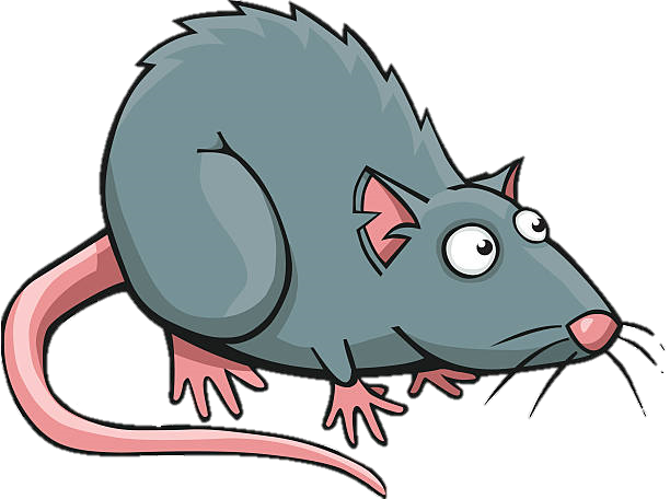 rat cartoon