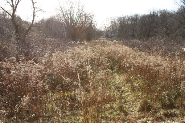 Baldpate Meadow photo