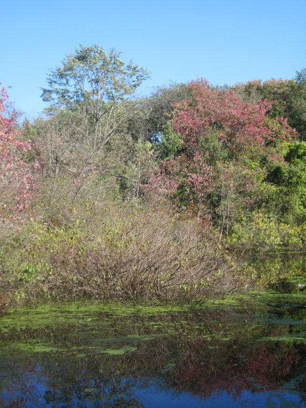 Dolan Pond photo